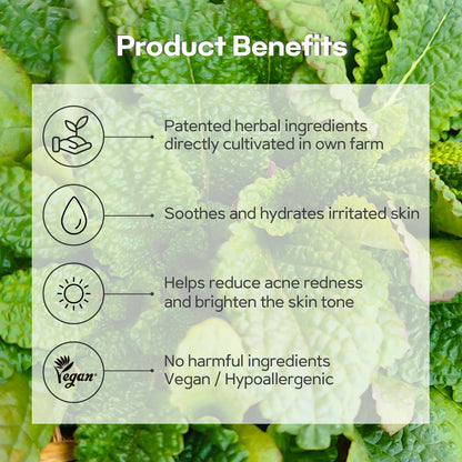 MEIDEME Green Salvia Treatment Toner