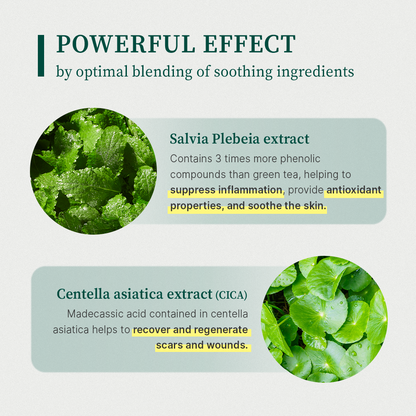 Meideme Green Salvia Soothing Mask