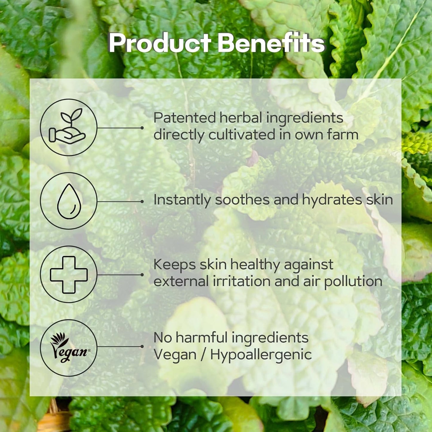 MEIDEME Green Salvia Calming Ampoule